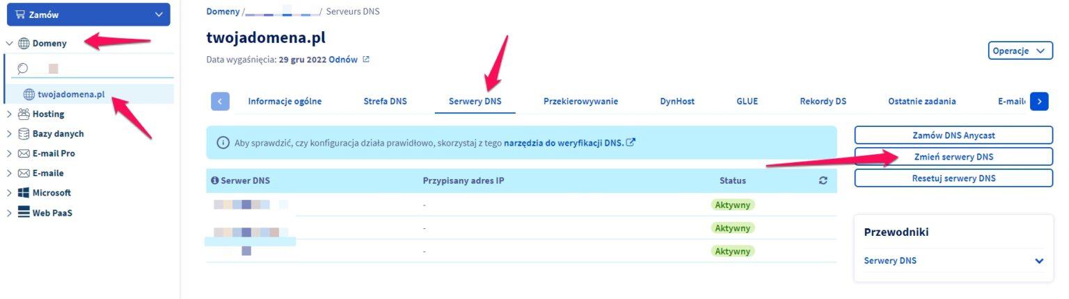 Jak dodać domenę z OVH do dhosting Pomoc dhosting pl