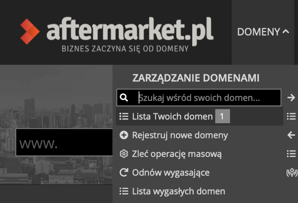 Zarządzanie domenami w aftermarket.pl