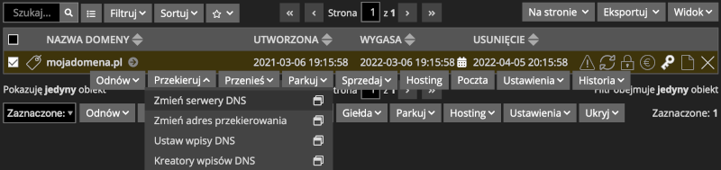 Wybór domeny z listy w aftermarket.pl